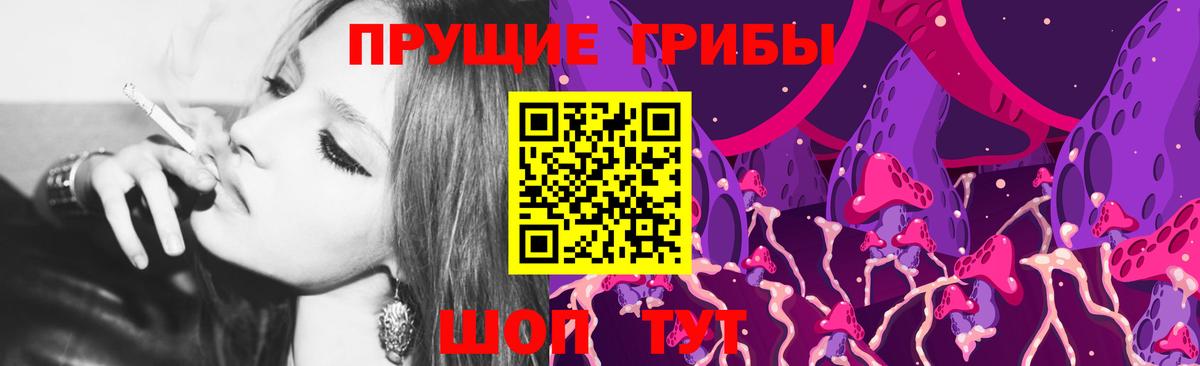 наркошоп  Вход с VPN  Барнаул  Галлюциногенные грибы Psilocybe 